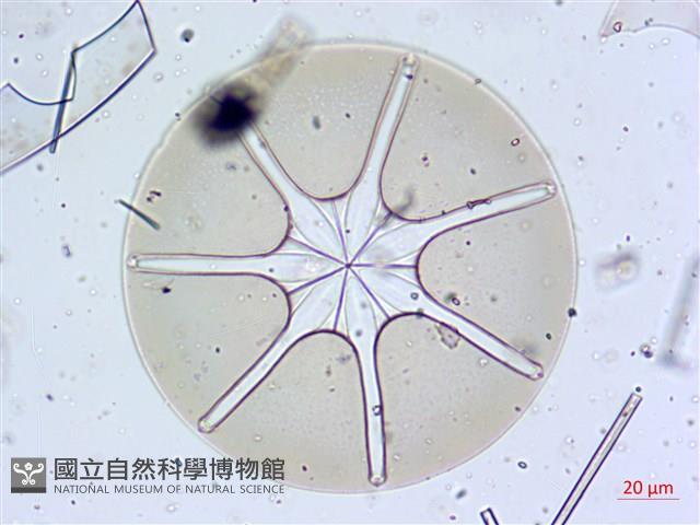 登錄號:A00004658藏品圖，第4張