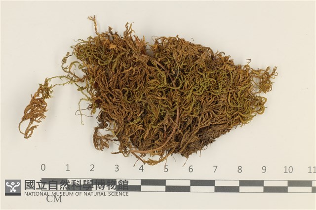 登錄號:B00002258藏品圖，第1張