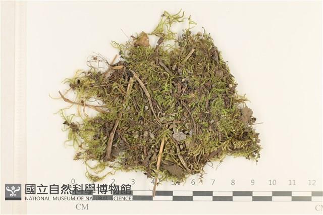 登錄號:B00013258藏品圖，第1張