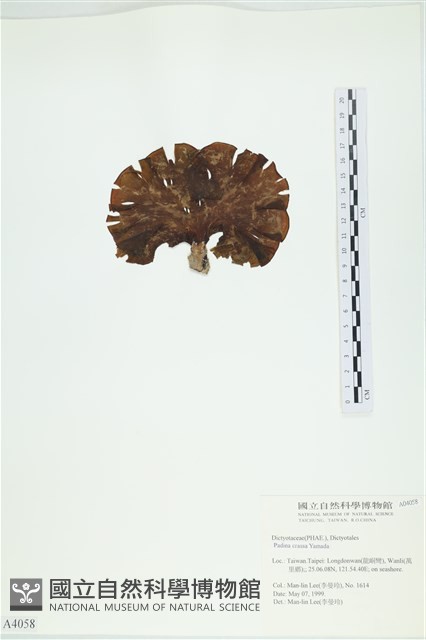 登錄號:A00004058藏品圖，第3張