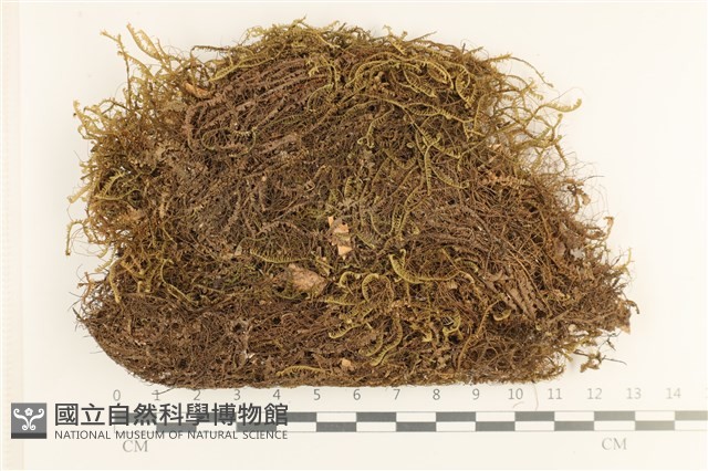 登錄號:B00008458藏品圖，第1張