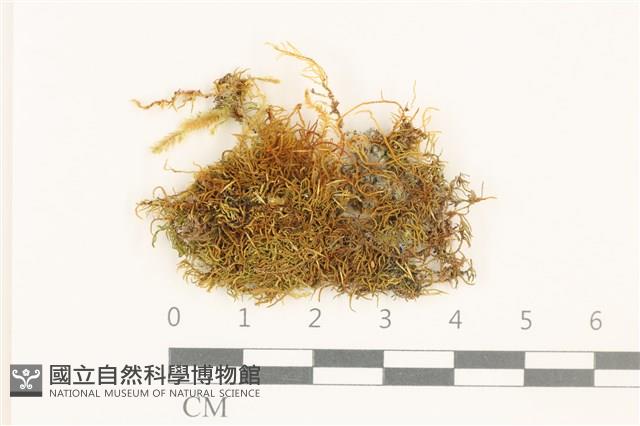 登錄號:B00003458藏品圖，第1張