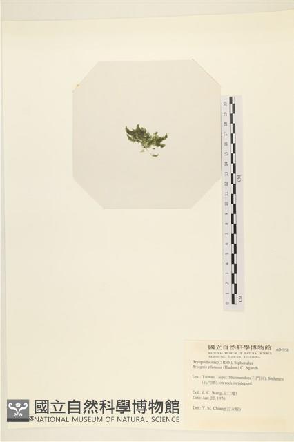 登錄號:A00004958藏品圖，第3張