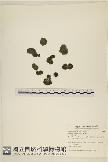 登錄號:A00006858藏品圖，第1張