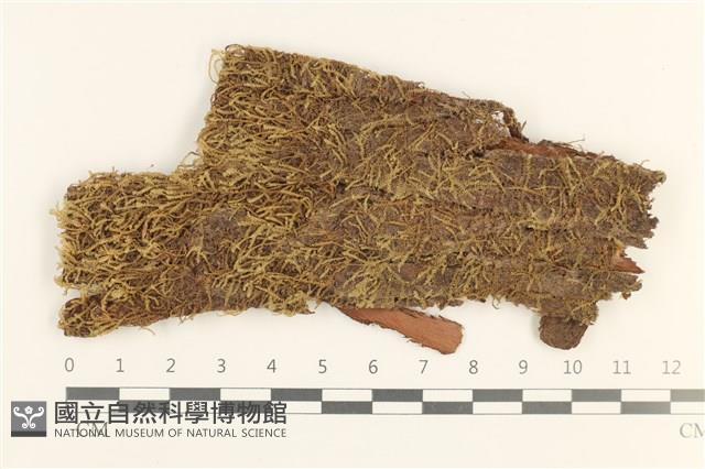 登錄號:B00019758藏品圖，第1張