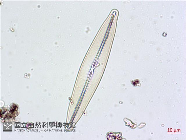 登錄號:A00004628藏品圖，第4張