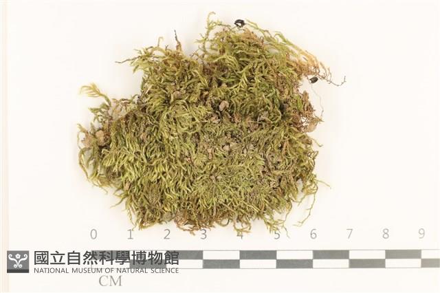 登錄號:B00017628藏品圖，第1張