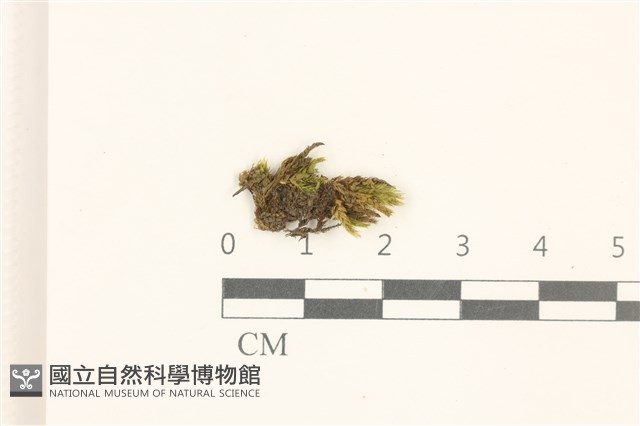 登錄號:B00015128藏品圖，第1張