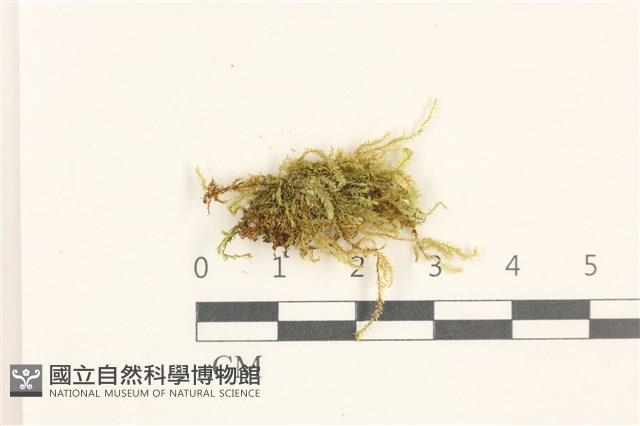 登錄號:B00012428藏品圖，第1張