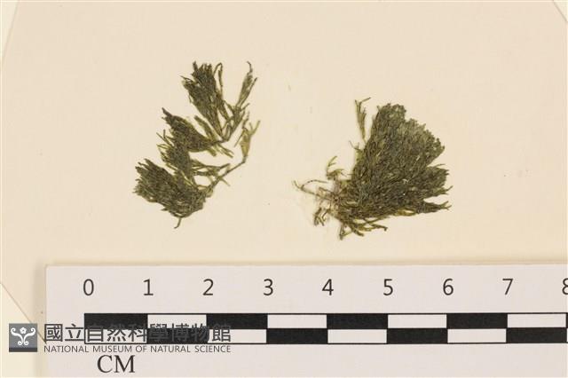 登錄號:A00002428藏品圖，第1張