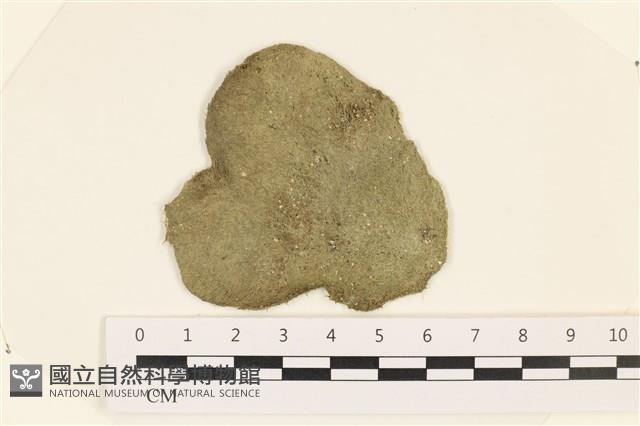 登錄號:A00003428藏品圖，第1張