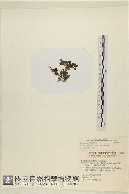 登錄號:A00004928藏品圖，第3張