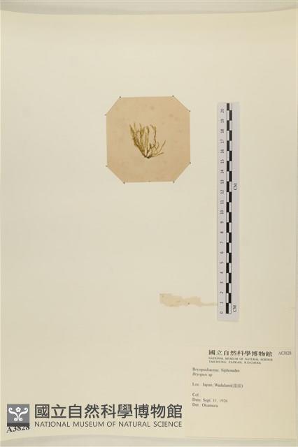 登錄號:A00003828藏品圖，第3張