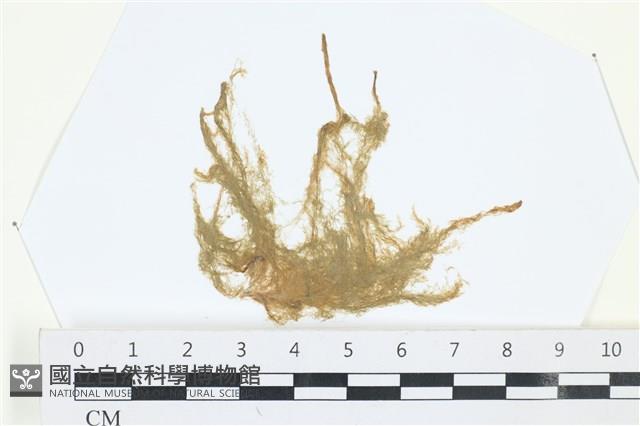 登錄號:A00003328藏品圖，第1張