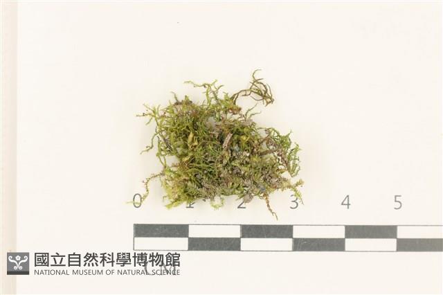 登錄號:B00012728藏品圖，第1張