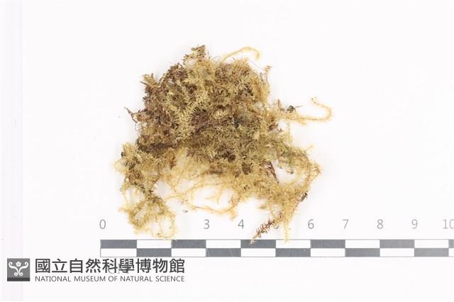 登錄號:B00004728藏品圖，第1張