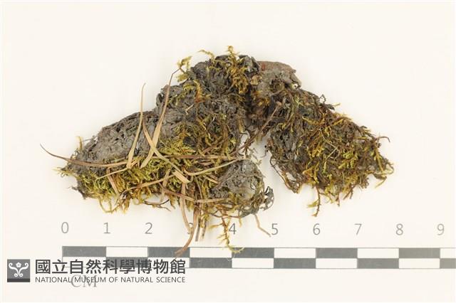 登錄號:B00016278藏品圖，第1張