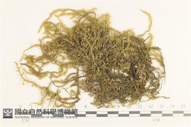 登錄號:B00009078藏品圖，第1張