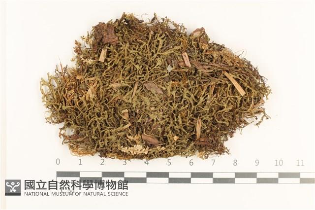 登錄號:B00019778藏品圖，第1張