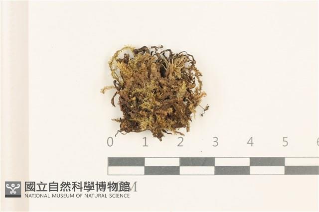 登錄號:B00019618藏品圖，第1張
