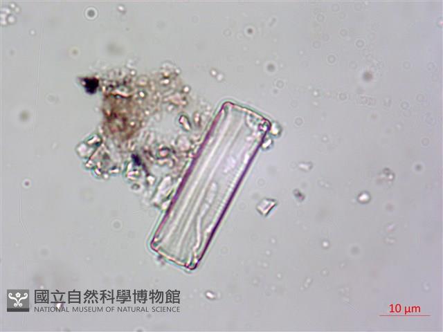 登錄號:A00004618藏品圖，第4張