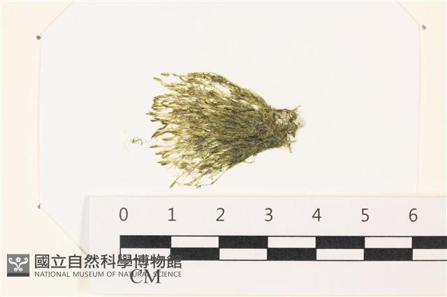 登錄號:A00002218藏品圖，第1張