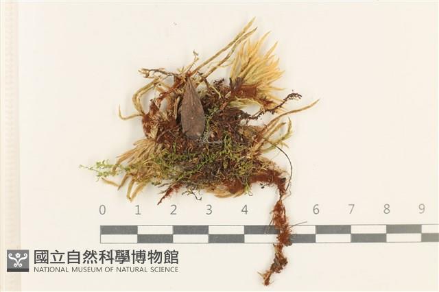登錄號:B00017218藏品圖，第1張