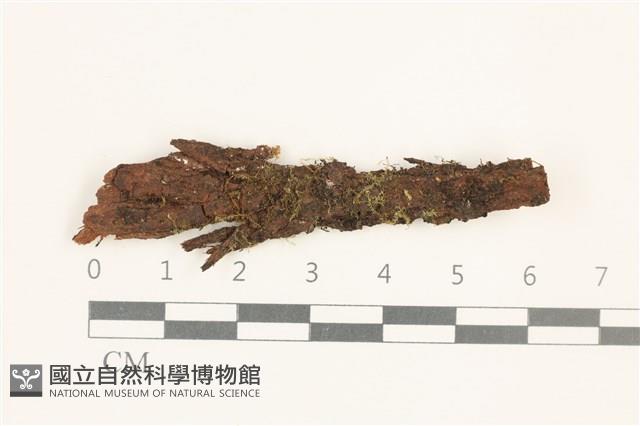 登錄號:B00019018藏品圖，第1張
