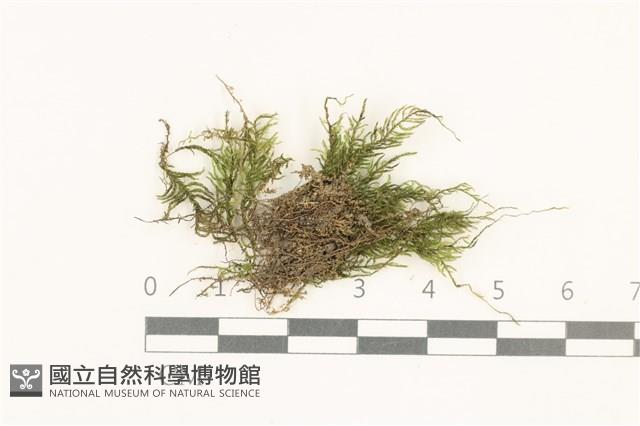 登錄號:B00015118藏品圖，第1張