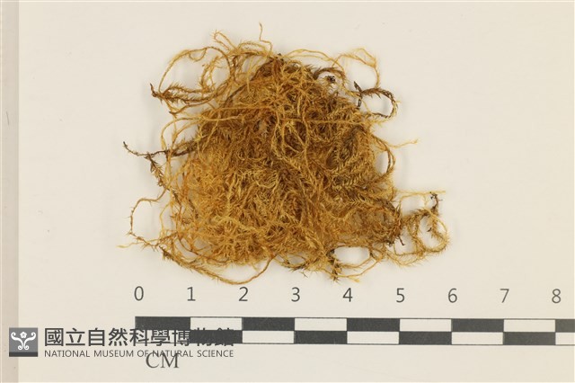 登錄號:B00000518藏品圖，第1張