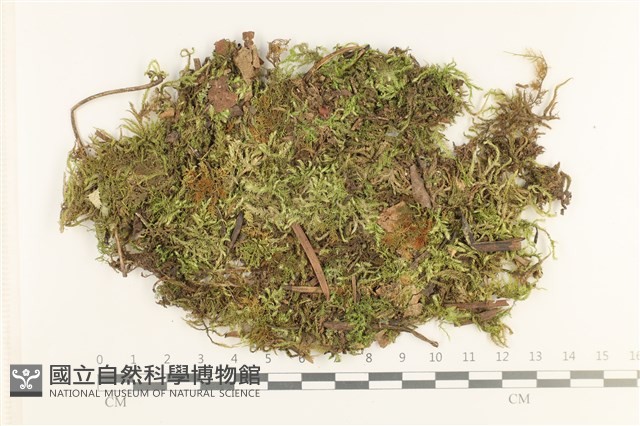 登錄號:B00012418藏品圖，第1張