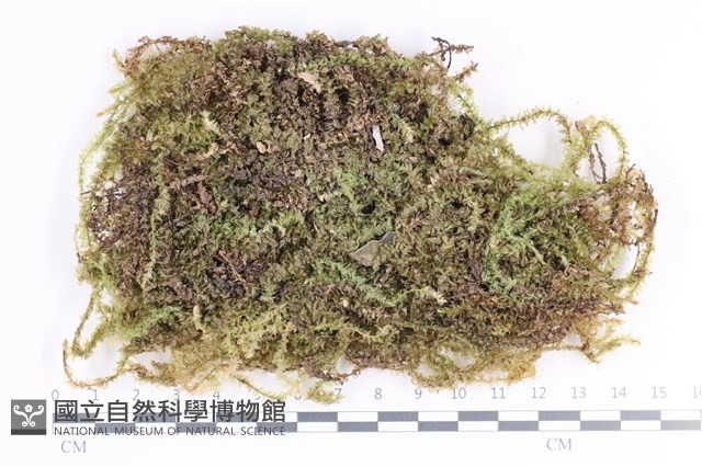 登錄號:B00005418藏品圖，第1張