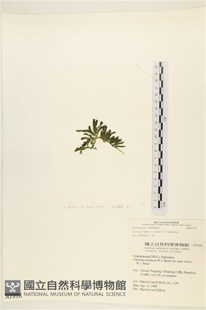 登錄號:A00001918藏品圖，第3張