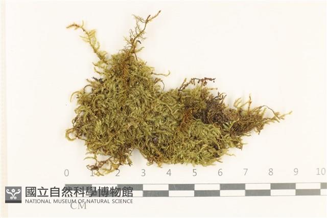 登錄號:B00021718藏品圖，第1張