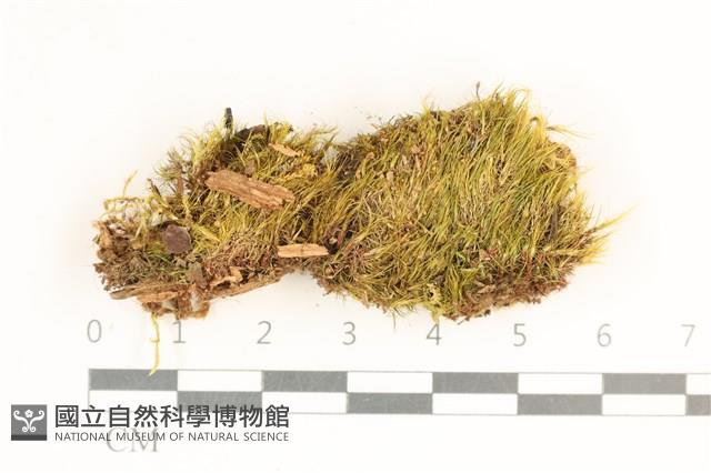 登錄號:B00017298藏品圖，第1張