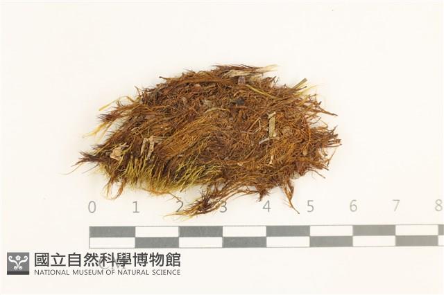 登錄號:B00001298藏品圖，第1張