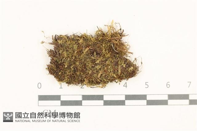 登錄號:B00014098藏品圖，第1張