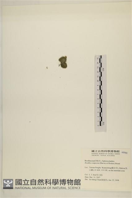 登錄號:A00005098藏品圖，第3張