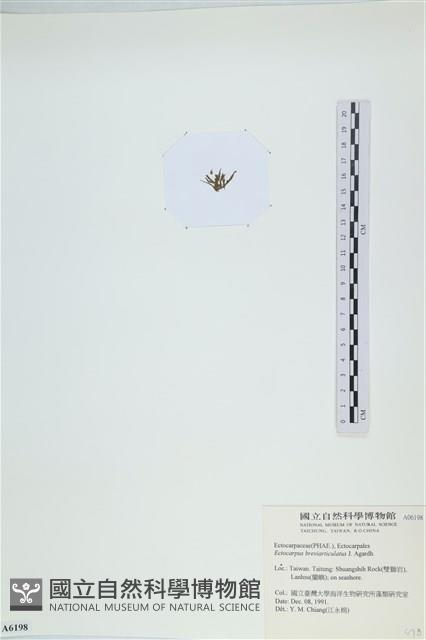 登錄號:A00006198藏品圖，第3張