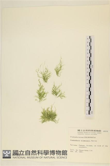 登錄號:A00000198藏品圖，第1張