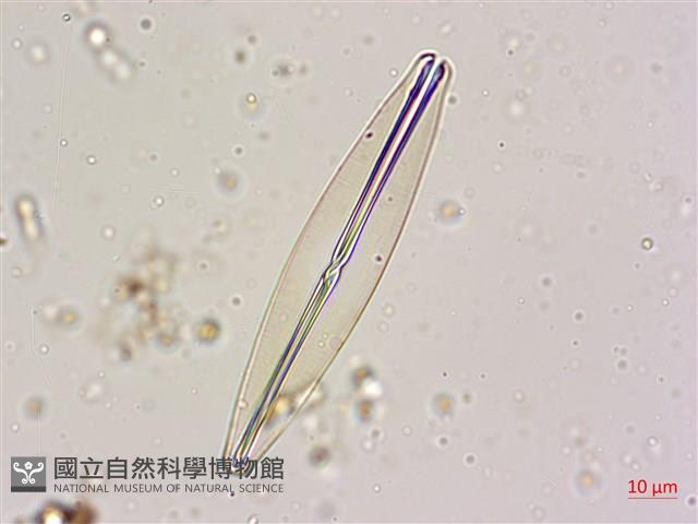 登錄號:A00004598藏品圖，第4張