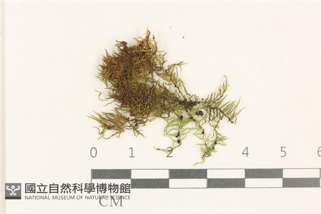 登錄號:B00015598藏品圖，第1張