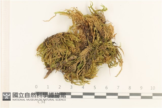 登錄號:B00008498藏品圖，第1張