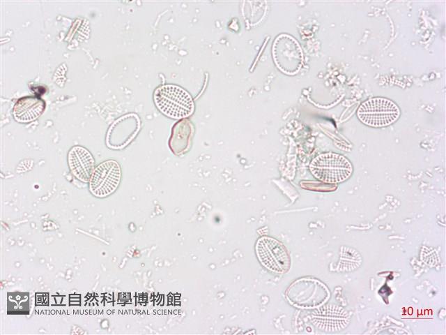 登錄號:A00004498藏品圖，第4張
