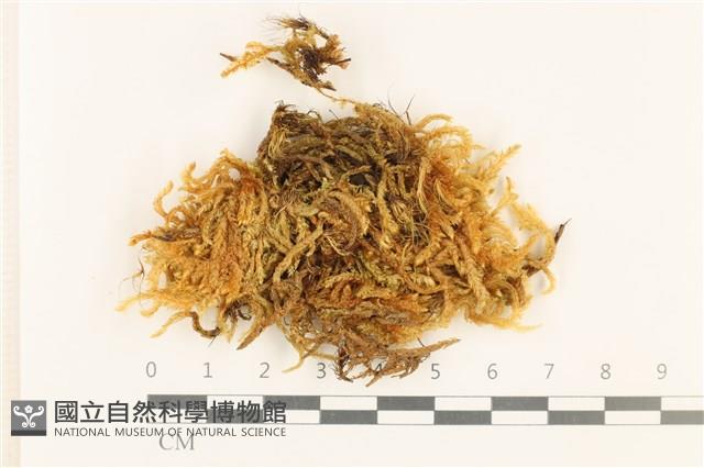 登錄號:B00000498藏品圖，第1張