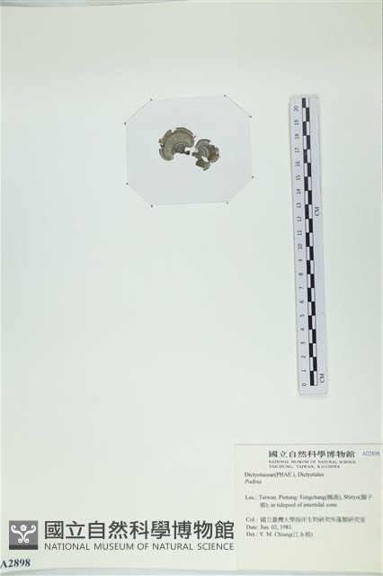 登錄號:A00002898藏品圖，第3張