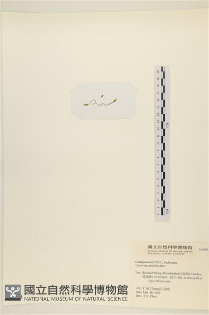 登錄號:A00004898藏品圖，第3張