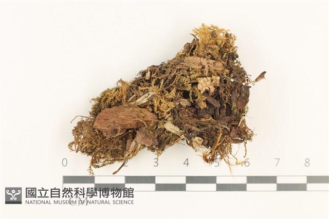 登錄號:B00019398藏品圖，第1張