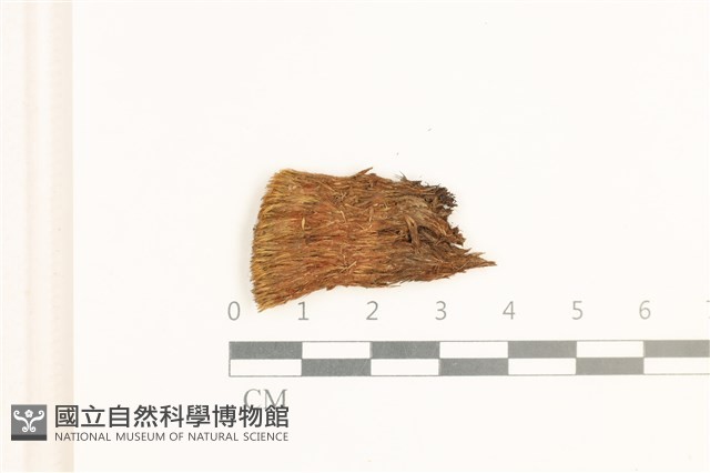 登錄號:B00006398藏品圖，第1張