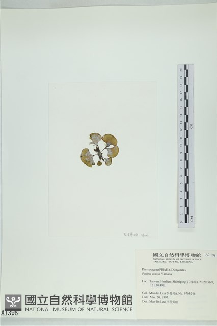 登錄號:A00001398藏品圖，第3張